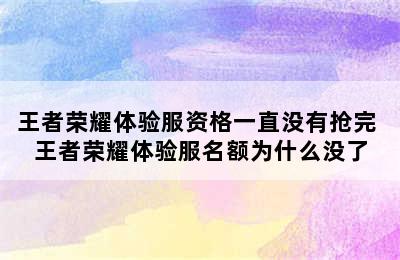 王者荣耀体验服资格一直没有抢完 王者荣耀体验服名额为什么没了